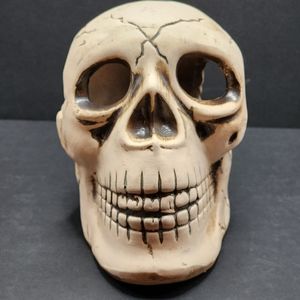 Skull Decoration Halloween Gothic